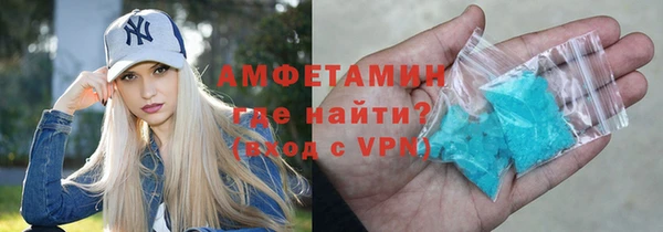 молекула духа Богданович