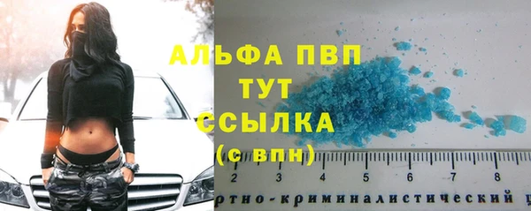 молекула духа Богданович