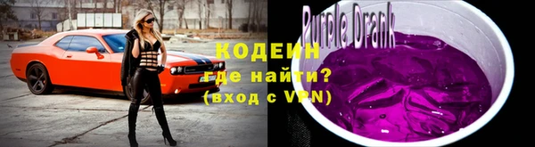молекула духа Богданович