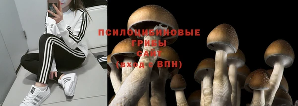 первитин Богородицк
