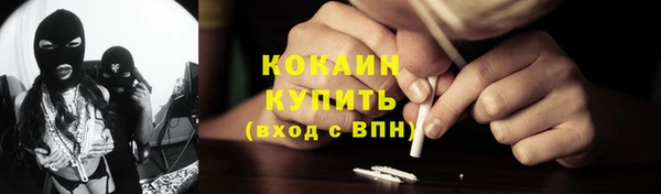 молекула духа Богданович