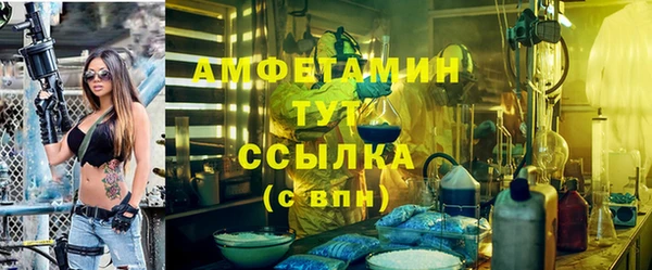 твердый Няндома