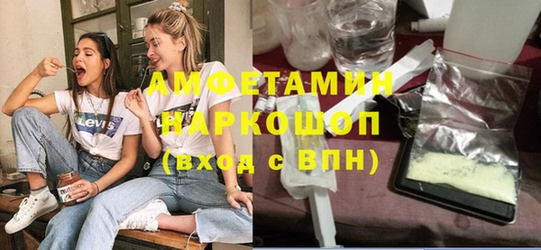 молекула духа Богданович