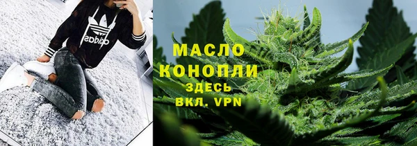 молекула духа Богданович