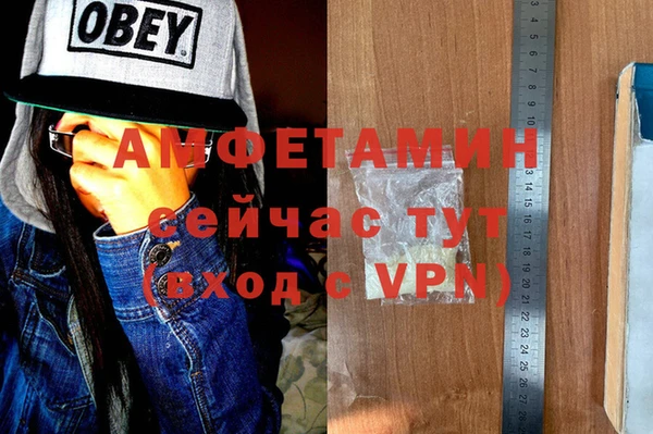молекула духа Богданович