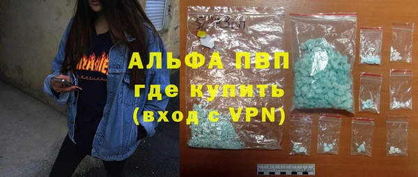молекула духа Богданович