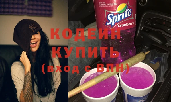 молекула духа Богданович