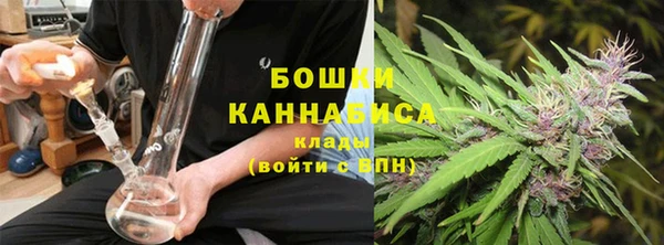 молекула духа Богданович