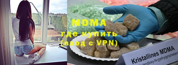 молекула духа Богданович